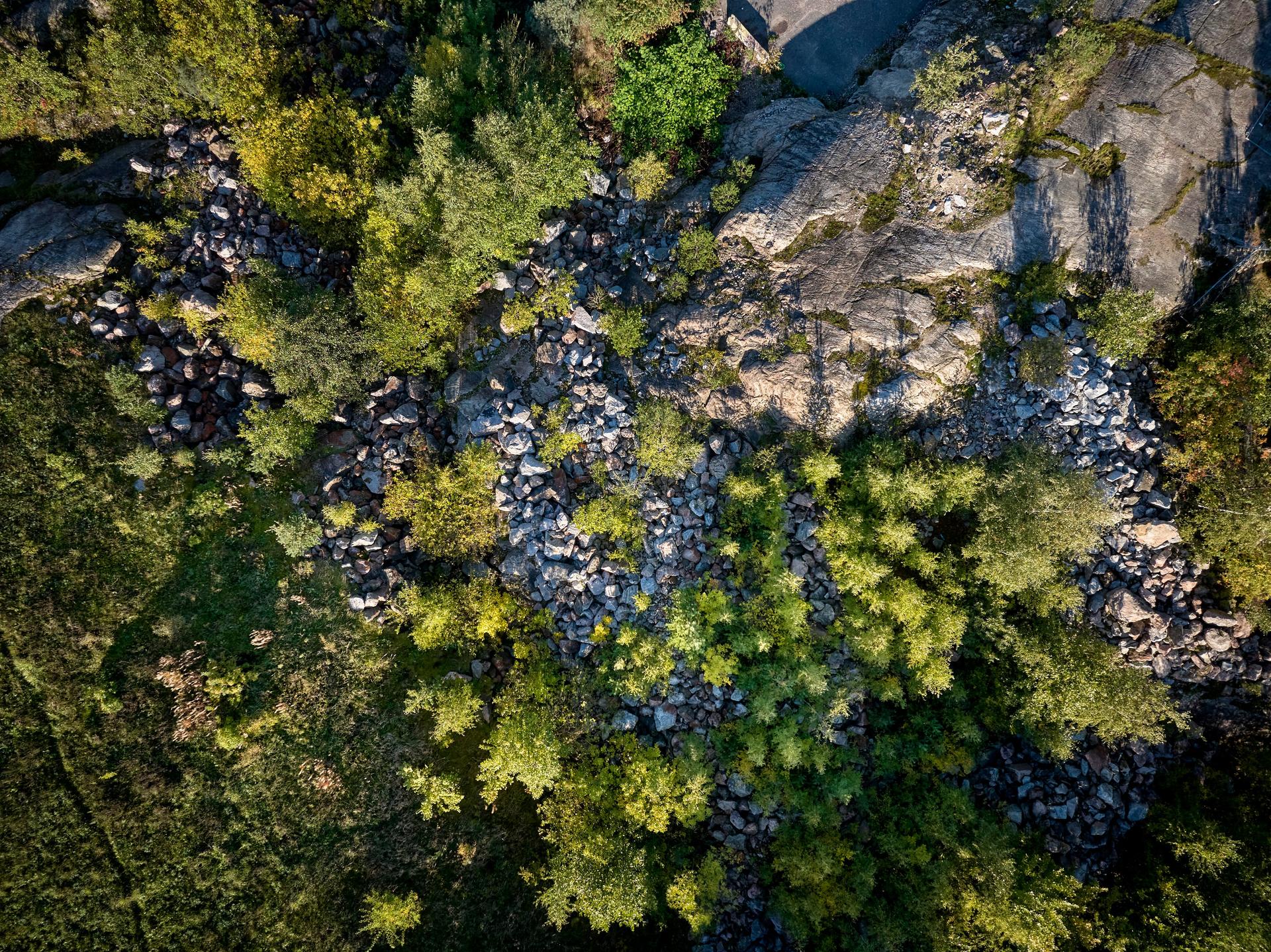 Ramboll julkaisi eurooppalaisia luontoarvoja mittaavan menetelmän