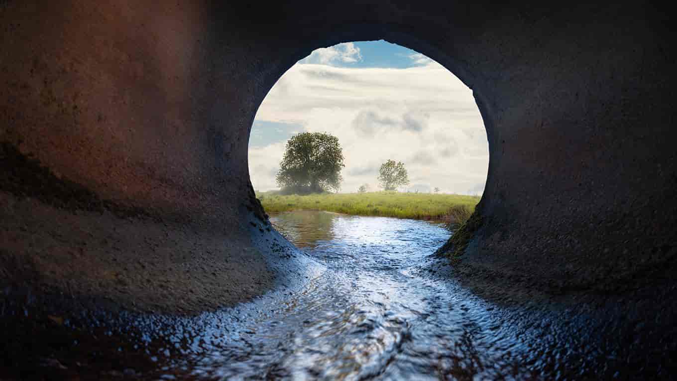 Sewer pipe. Inside view. Meadow and tree in the background