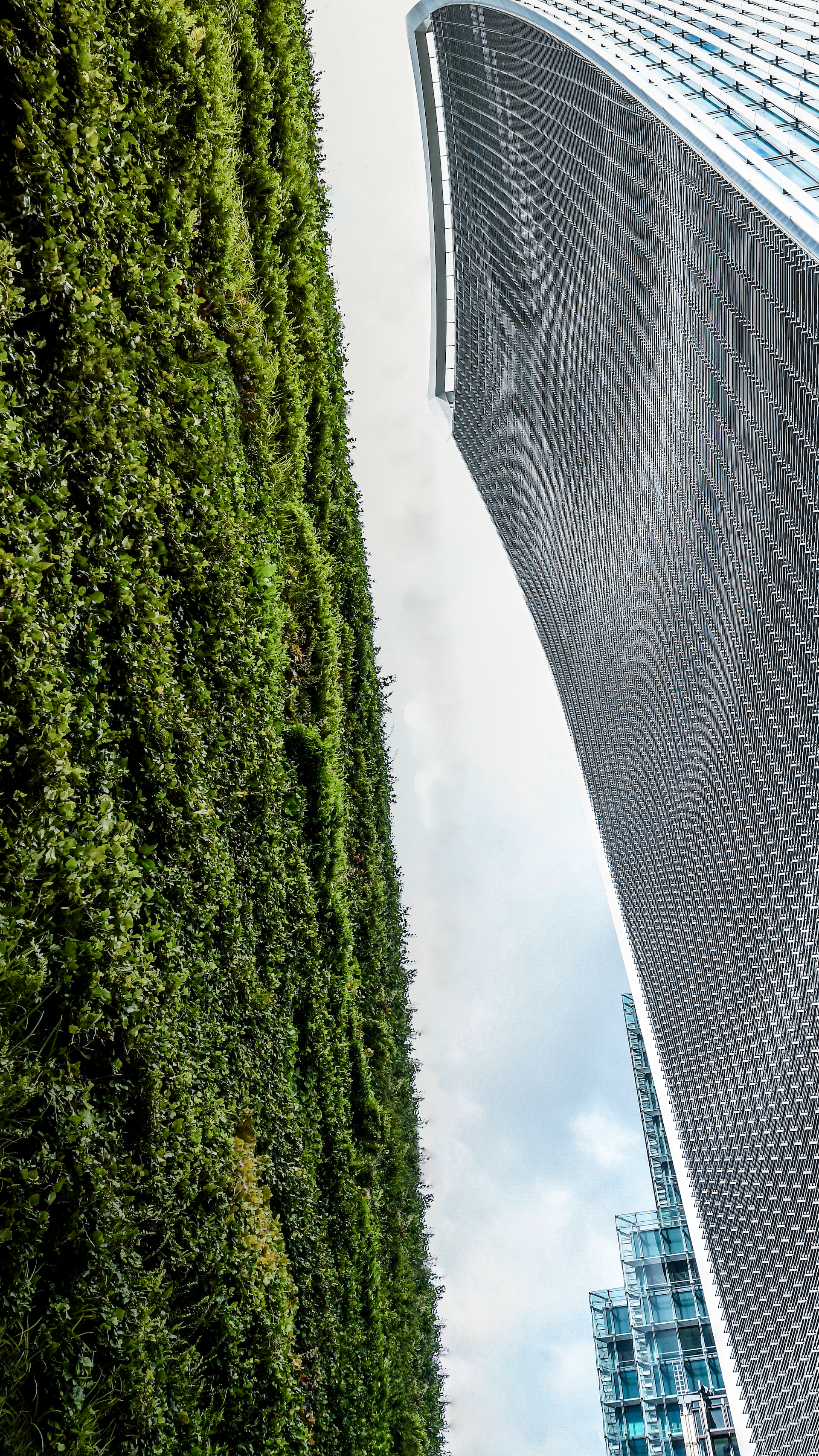 20 Fenchurch Street Building Facing Green Hedge Wall In London, UK