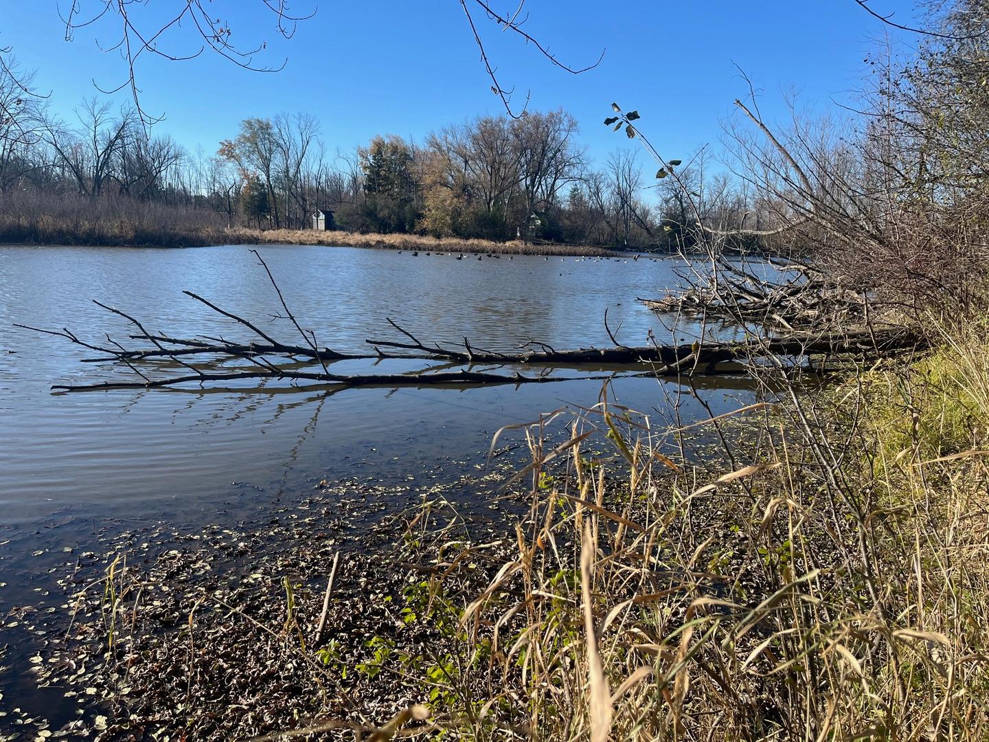 Ville du Parc in Milwaukee